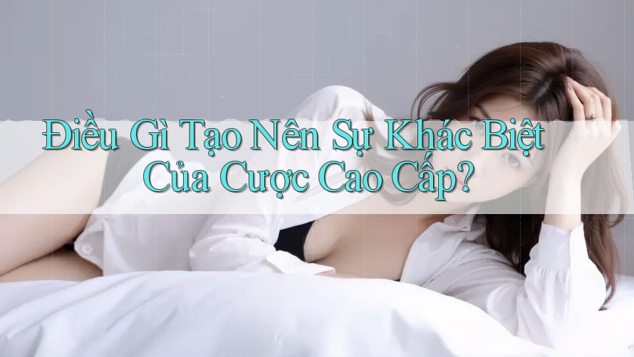 Điều Gì Tạo Nên Sự Khác Biệt Của Cược Cao Cấp?