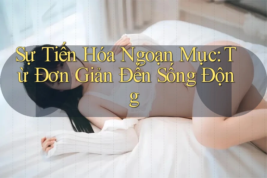 Sự Tiến Hóa Ngoạn Mục: Từ Đơn Giản Đến Sống Động Sự Tiến Hóa Ngoạn Mục: Từ Đơn Giản Đến Sống Động