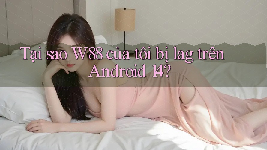 Tại sao W88 của tôi bị lag trên Android 14? Tại sao W88 của tôi bị lag trên Android 14?