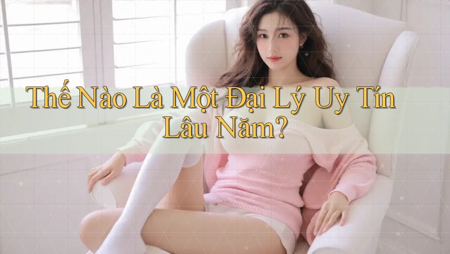 Thế Nào Là Một Đại Lý Uy Tín Lâu Năm? Thế Nào Là Một Đại Lý Uy Tín Lâu Năm?
