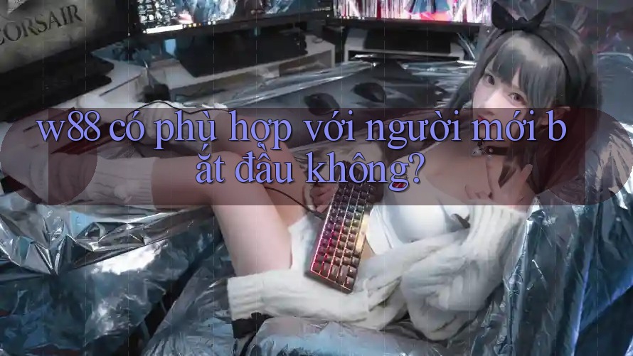 W88 có phù hợp với người mới bắt đầu không? W88 có phù hợp với người mới bắt đầu không?