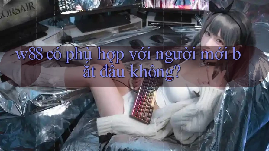 w88 có phù hợp với người mới bắt đầu không? w88 có phù hợp với người mới bắt đầu không?